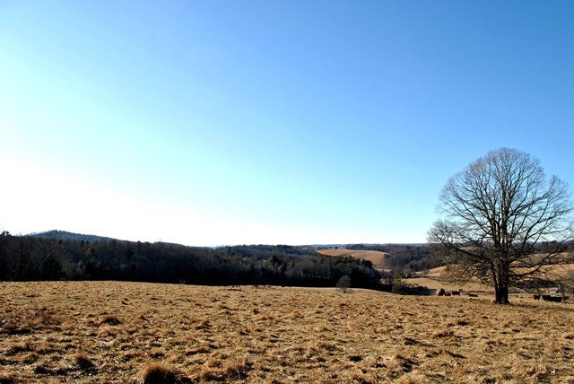 Tbd Hunters Ridge Road, Unit 10263 10290 Dugspur, VA 24325 - Photo 1 of 1 Gallery Image 1