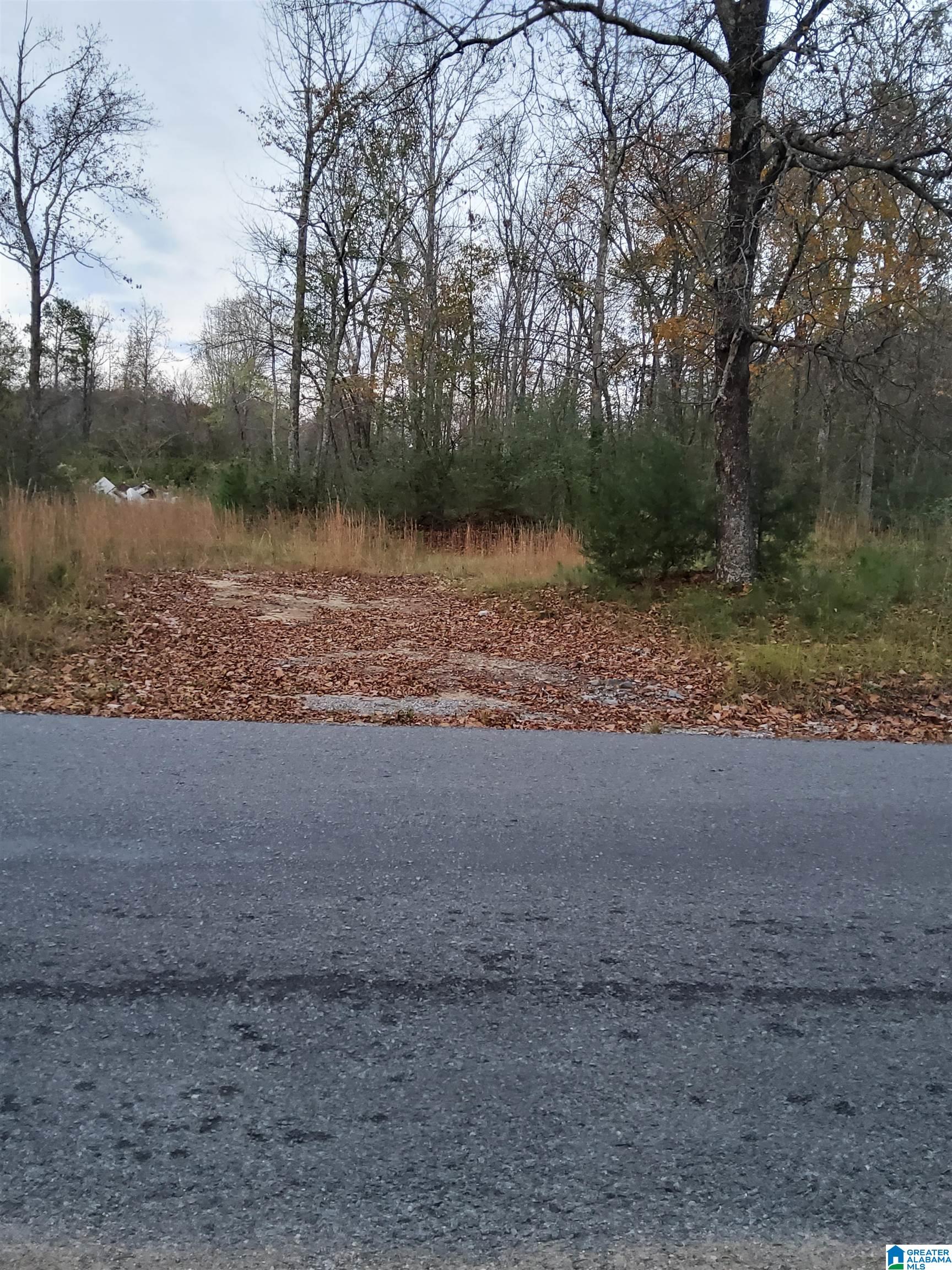 310 Oscar Bradford Road, Unit 2 Warrior, AL 35180 - Photo 4 of 7