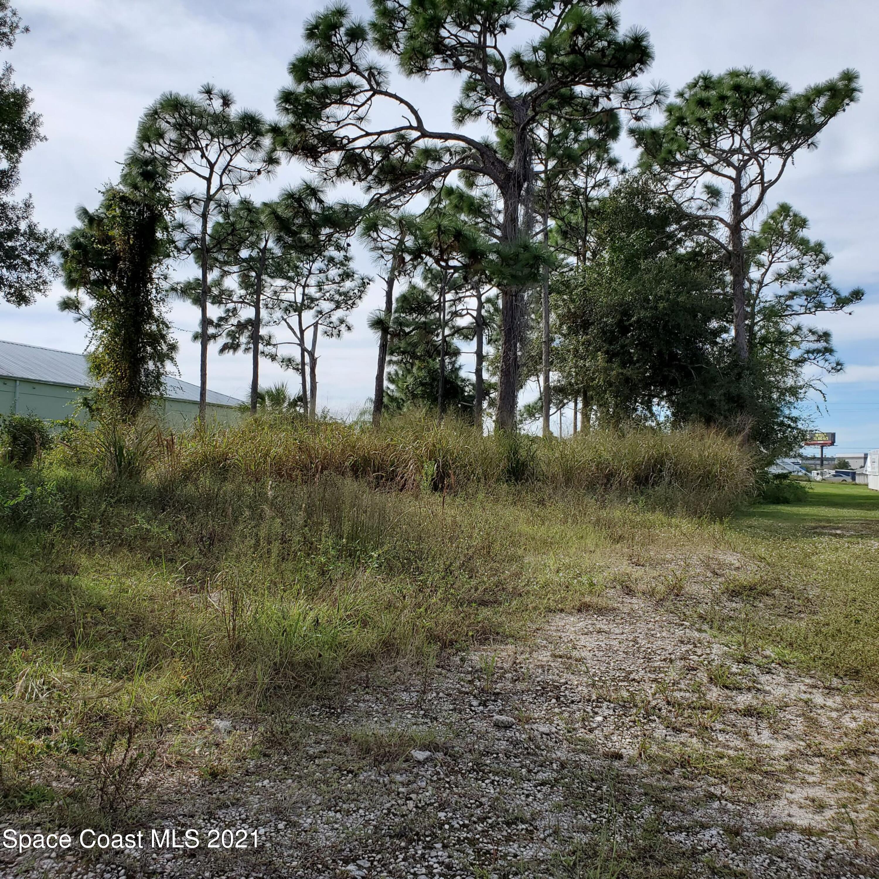 446 Martin Road Palm Bay, FL 32909 - Photo 5 of 10 a view of a tree in a yard