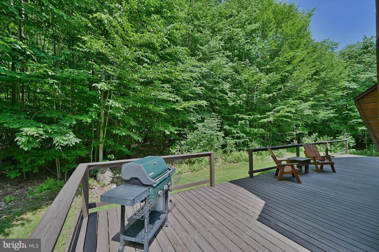 21 Turkey Path Trail White Haven, PA 18661 - Photo 29 of 66