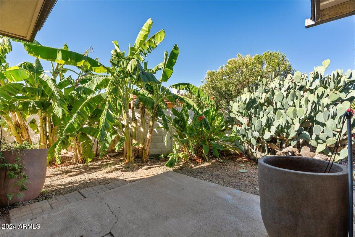 2501 East Pepper Ridge Circle Phoenix, AZ 85032 - Photo 26 of 48 34-Patio & yard