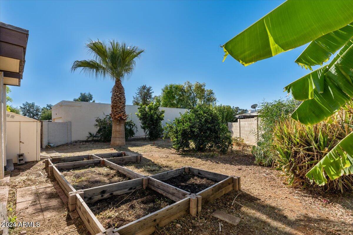 2501 East Pepper Ridge Circle Phoenix, AZ 85032 - Photo 27 of 48 36-Side yard