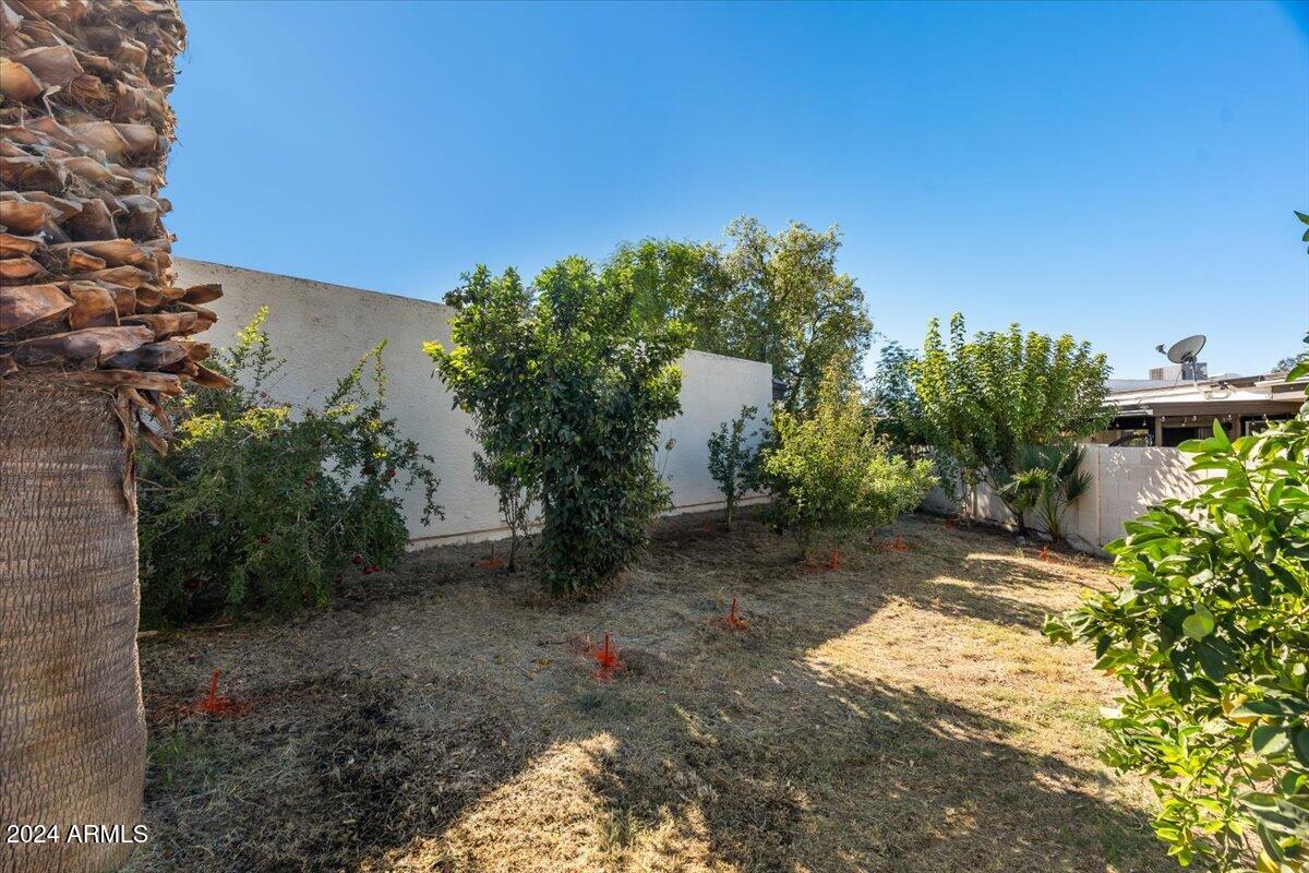 2501 East Pepper Ridge Circle Phoenix, AZ 85032 - Photo 29 of 48 37-Side yard
