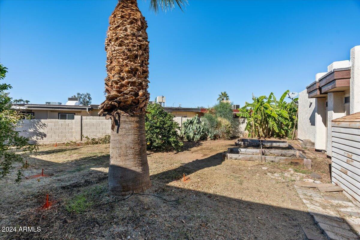 2501 East Pepper Ridge Circle Phoenix, AZ 85032 - Photo 30 of 48 38-Side yard