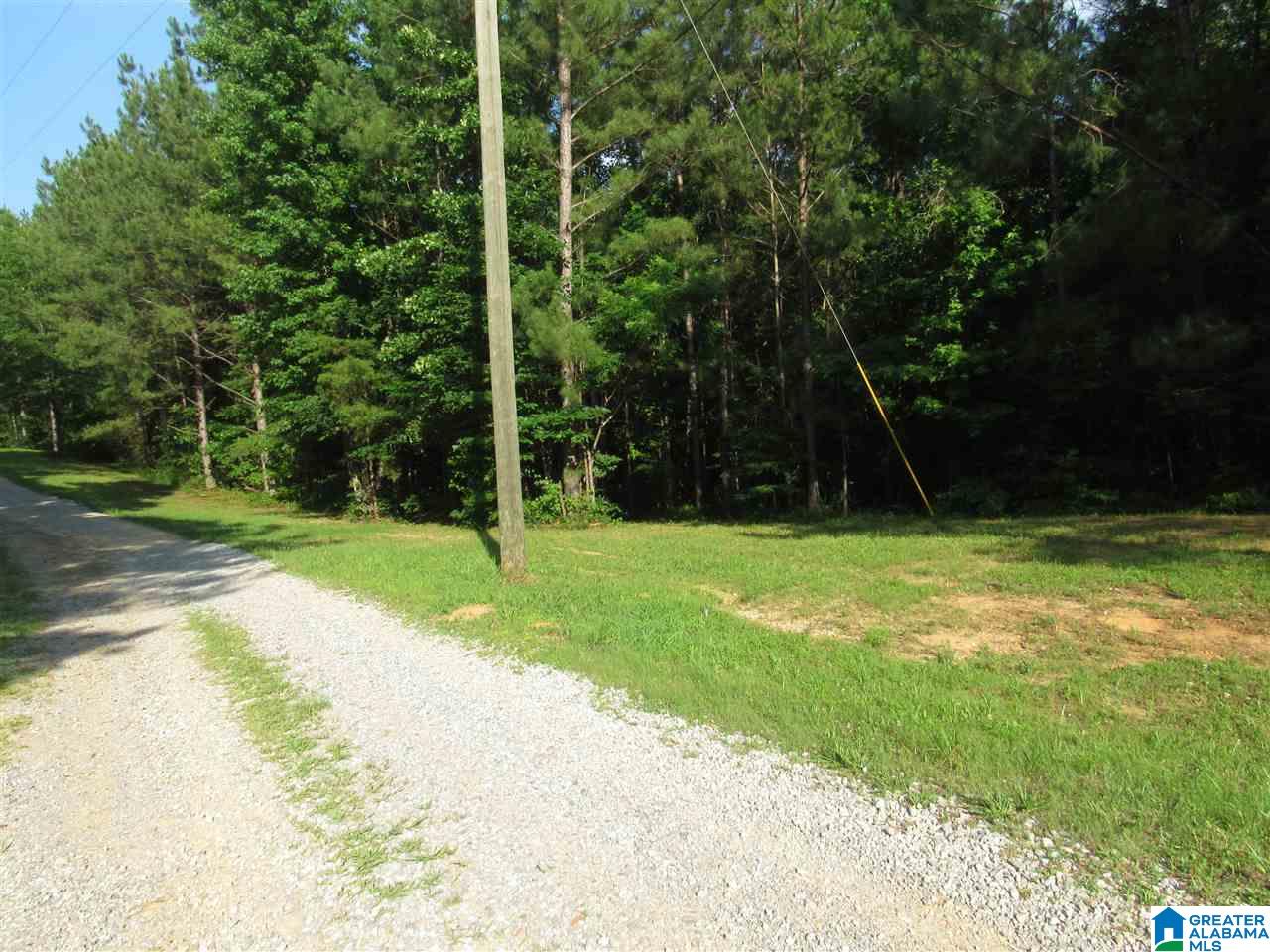 0 County Road 997, Unit 1 Clanton, AL 35045 - Photo 7 of 7
