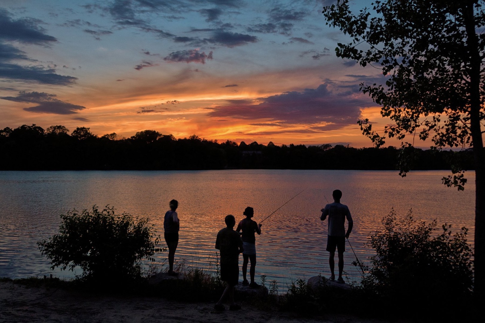 33 Shoreline Road, Unit B Lake Barrington, IL 60010 - Photo 31 of 46