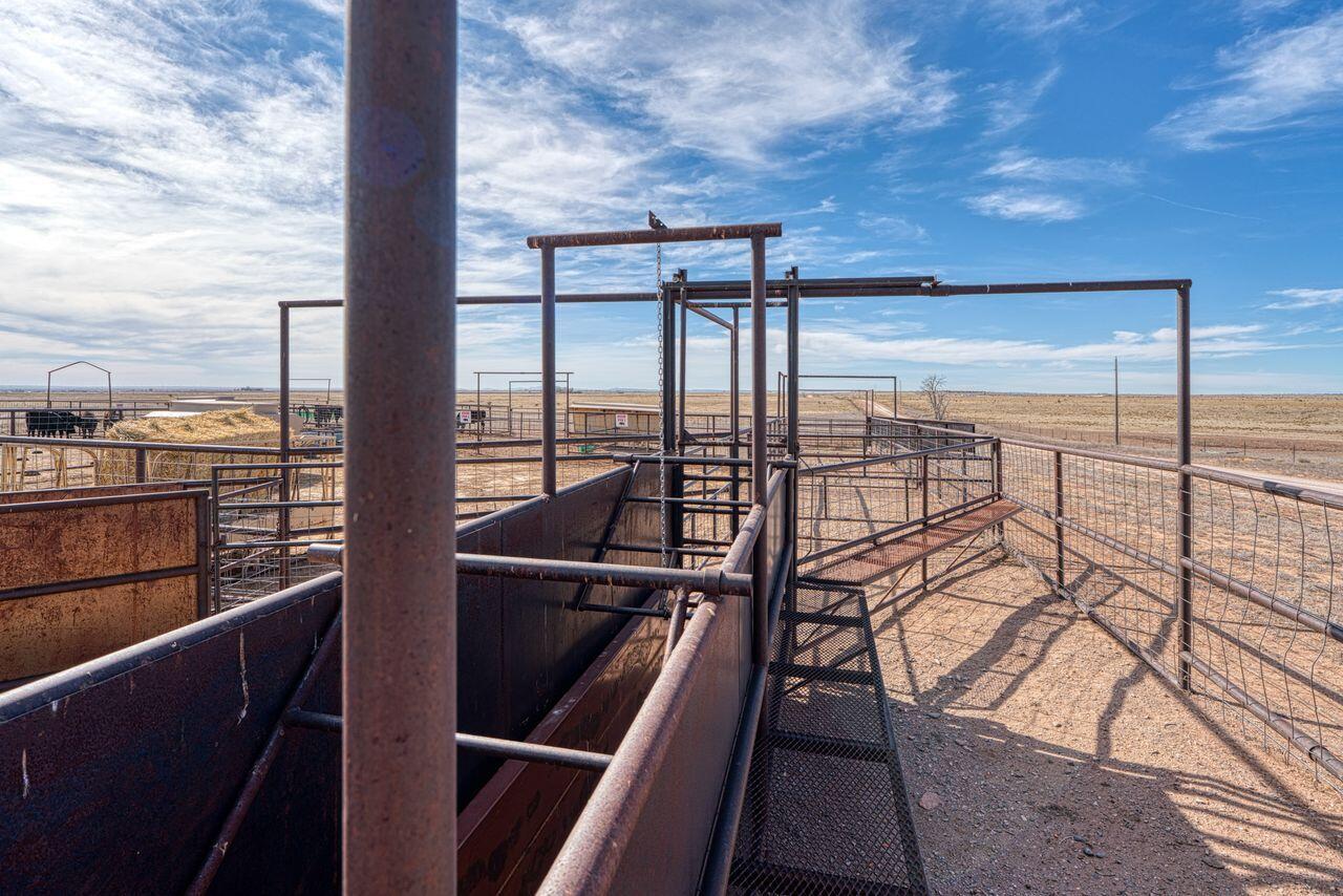 99 Pauline Road McIntosh, NM 87032 - Photo 52 of 73 Gallery Image 52