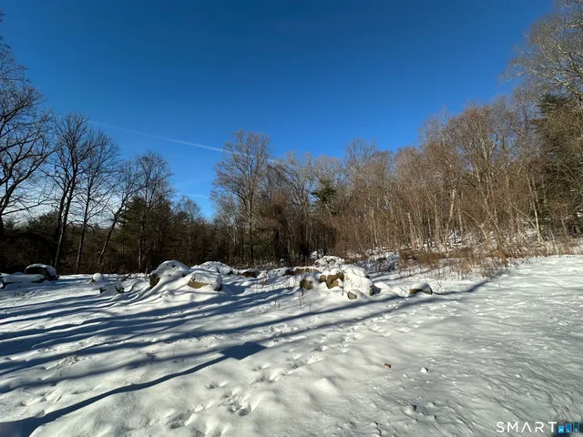 a view of a park with large trees