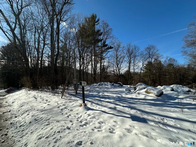 a view of a yard with trees