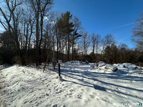 a view of a yard with trees
