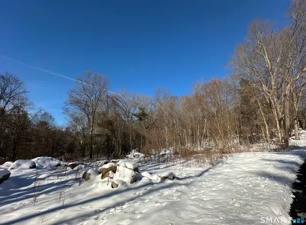a view of a yard with snow on the road