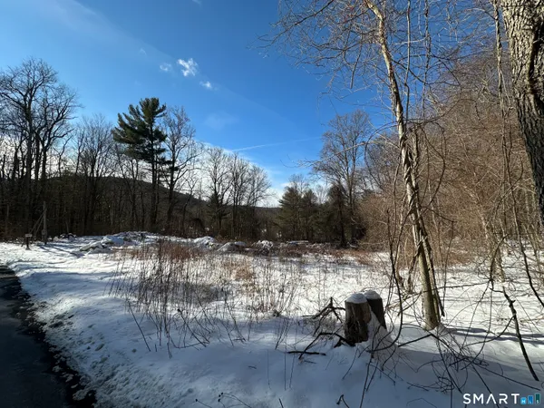 a view of a backyard of the house