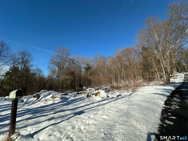 a view of the trees and snow on the roadside