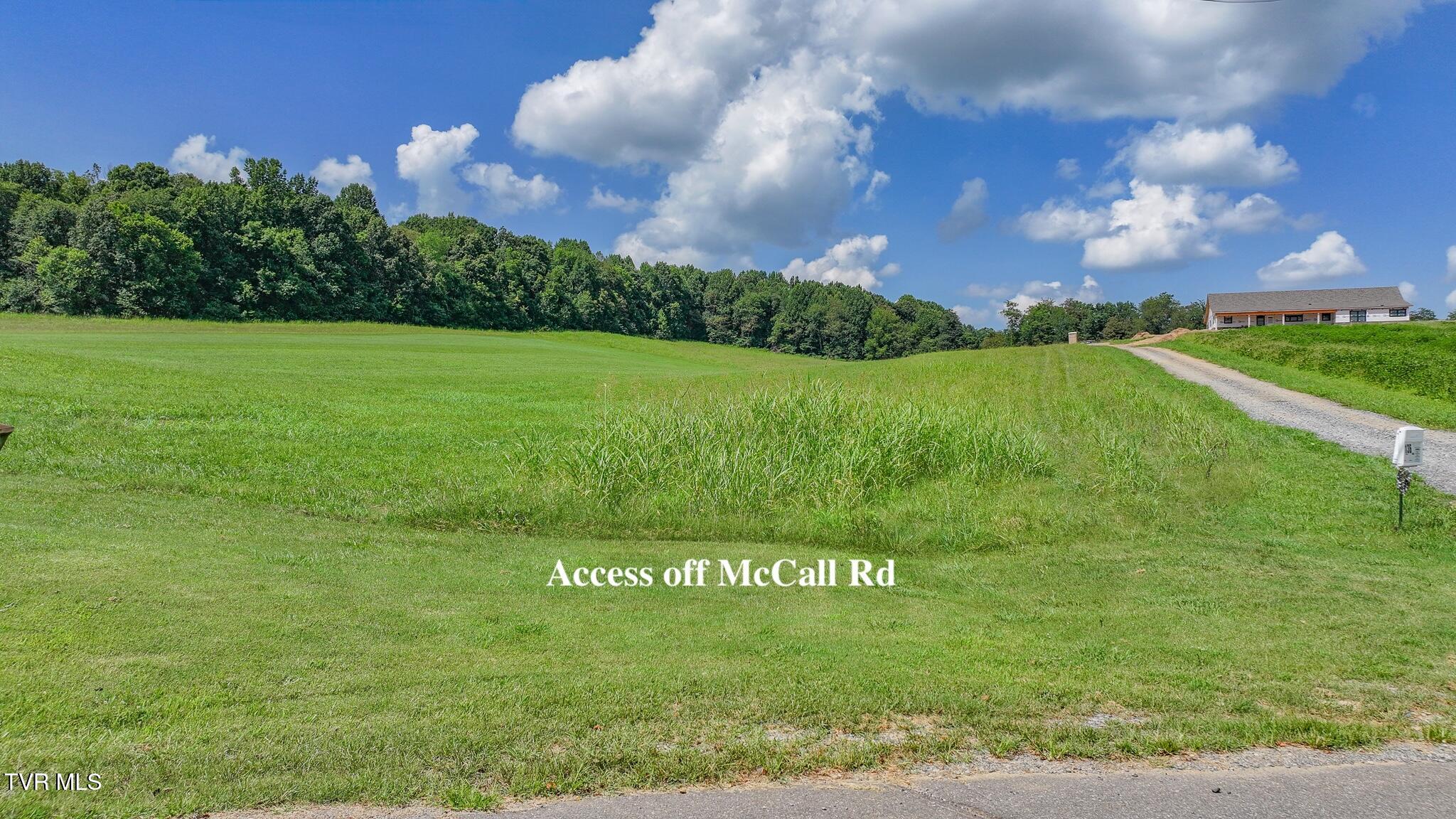 170 McCall Road Jonesborough, TN 37659 - Photo 6 of 6 dji_fly_20250725_154016_0956_17534724741