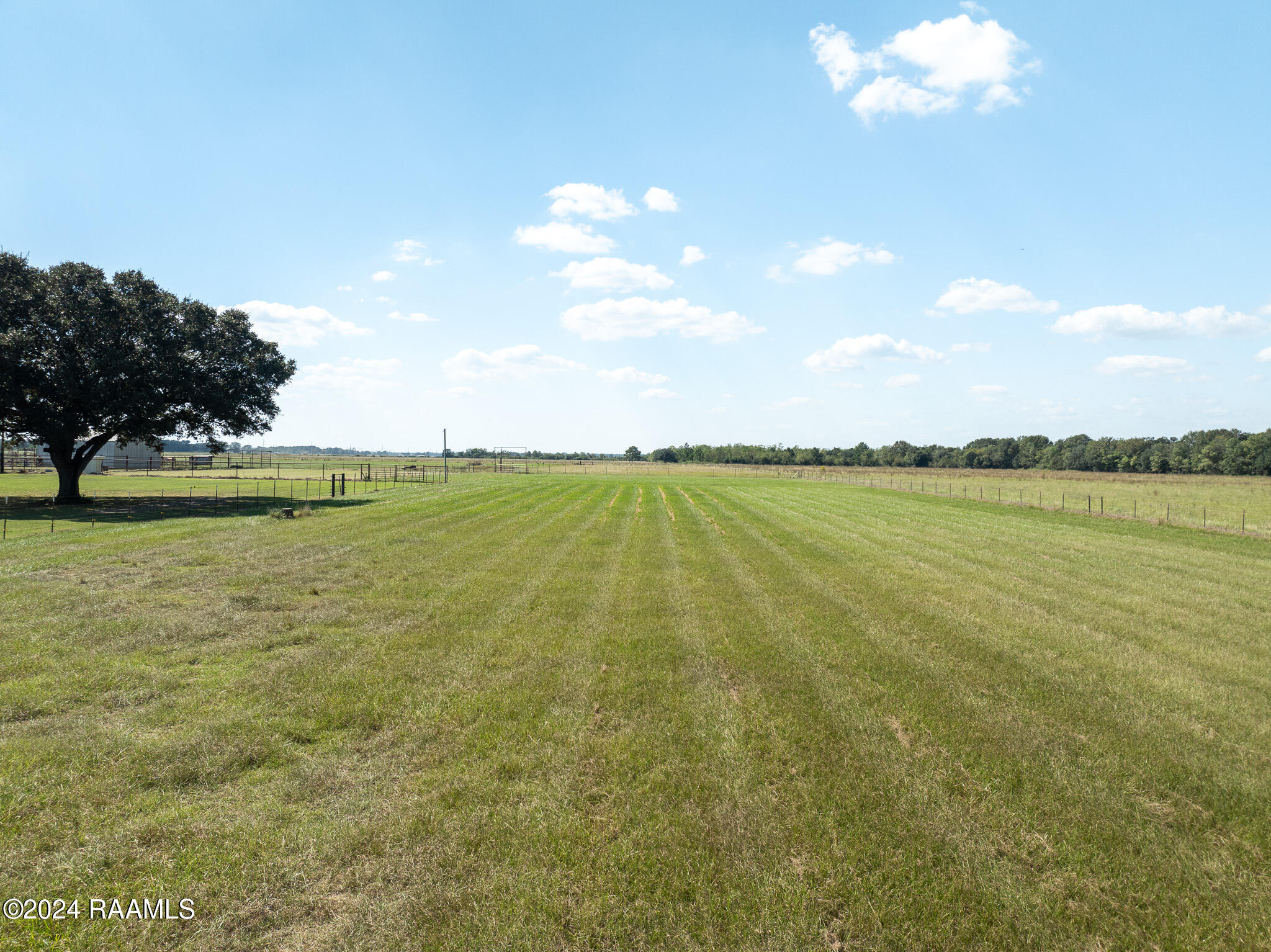 0 Gravot Road Iota, LA 70543 - Photo 3 of 11 DJI_0008