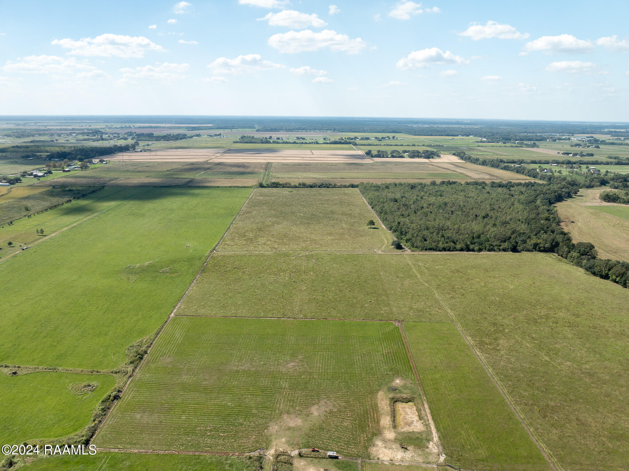0 Gravot Road Iota, LA 70543 - Photo 5 of 11 DJI_0010