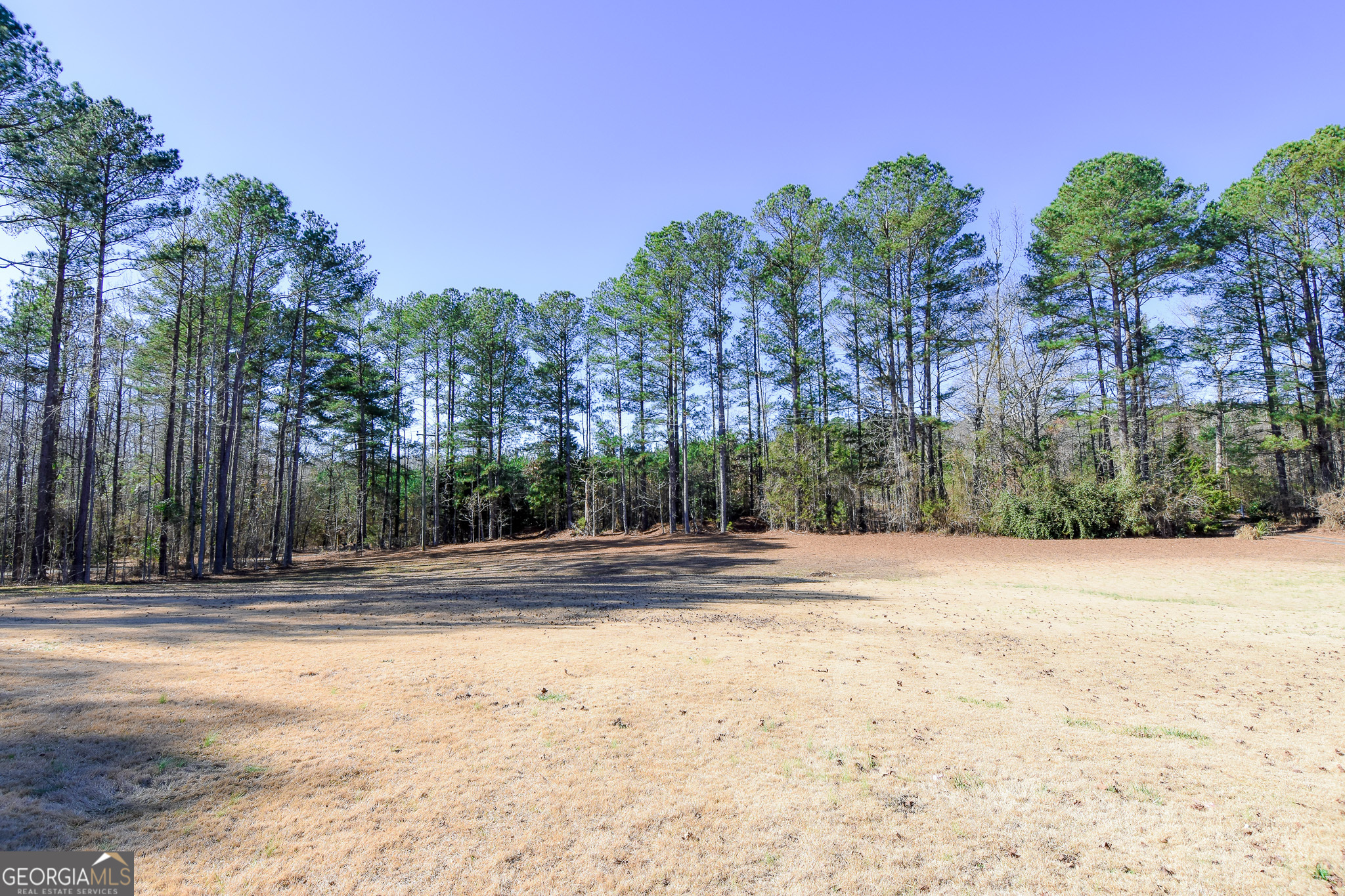 741 Howell Road Zebulon, GA 30295 - Photo 20 of 79 a view of a yard with palm trees