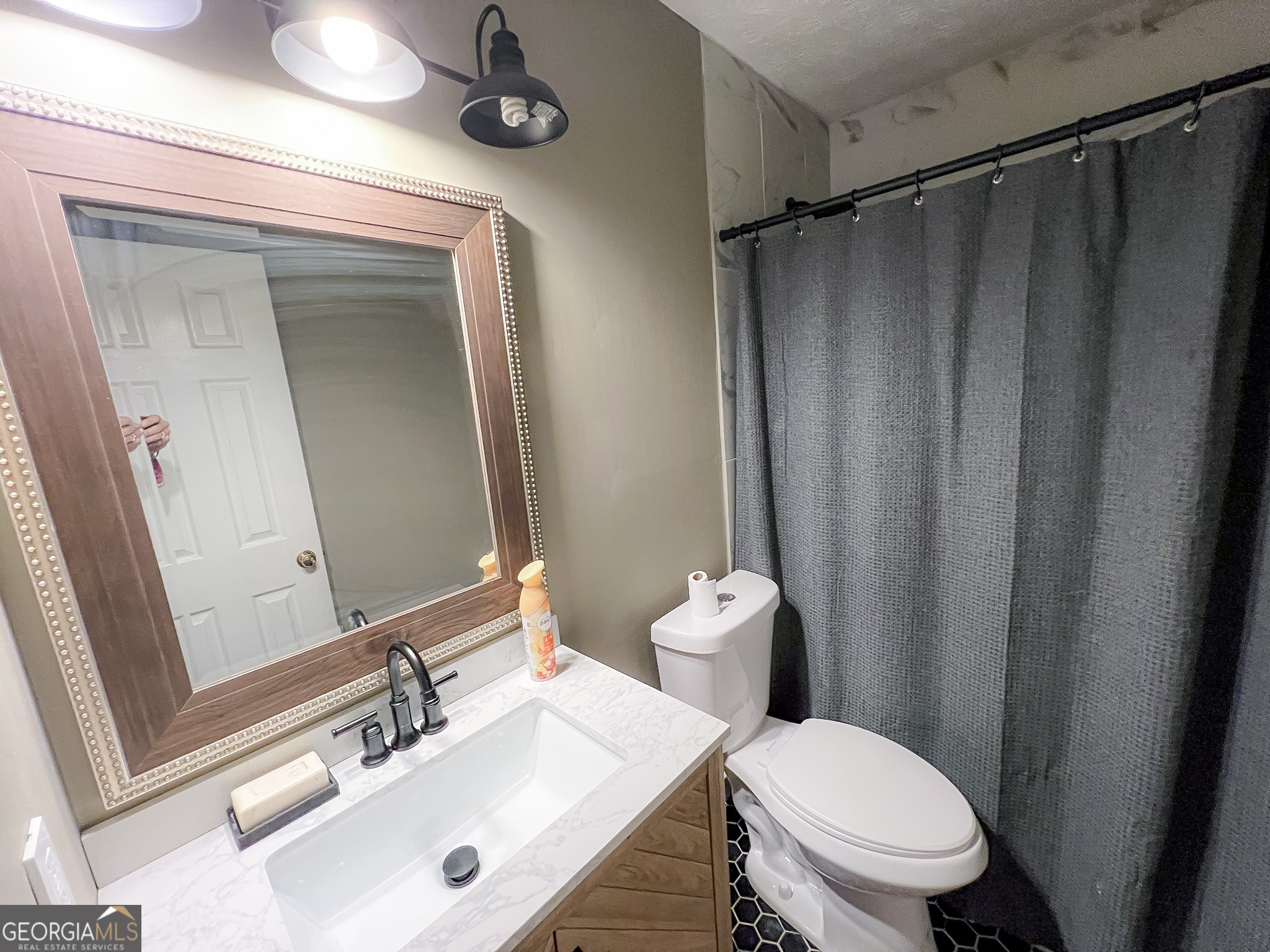 741 Howell Road Zebulon, GA 30295 - Photo 73 of 79 a bathroom with a sink a toilet a mirror and shower curtain