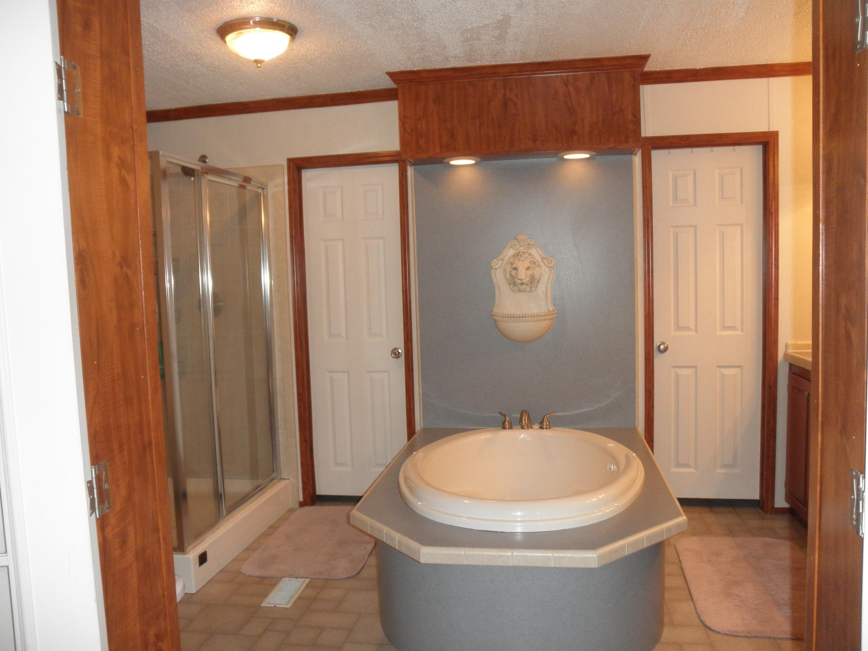 410 Wiregrass Road Hamlet, NC 28345 - Photo 13 of 16 master bath