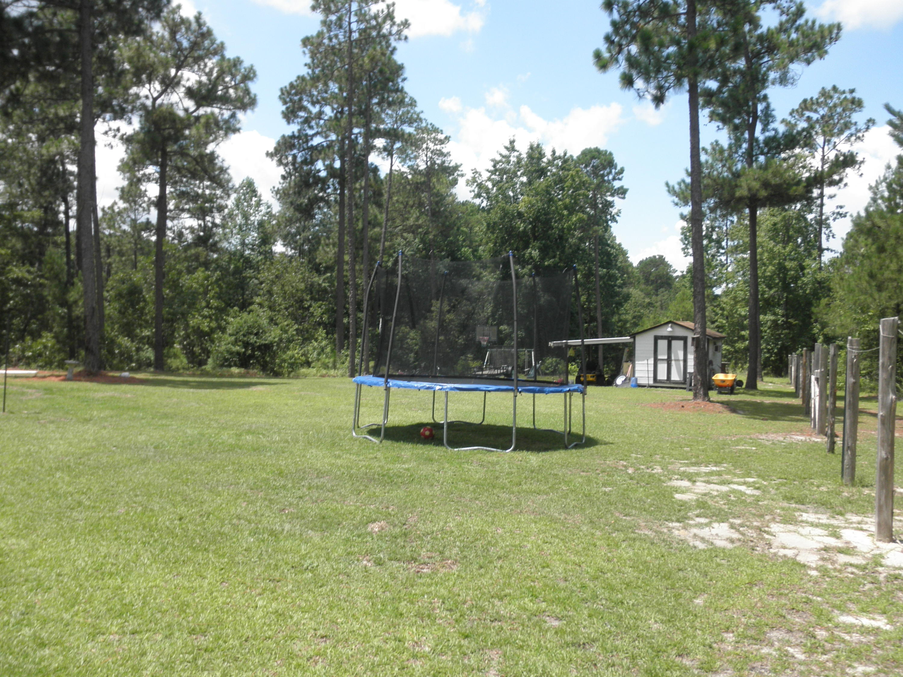 410 Wiregrass Road Hamlet, NC 28345 - Photo 14 of 16 back yard