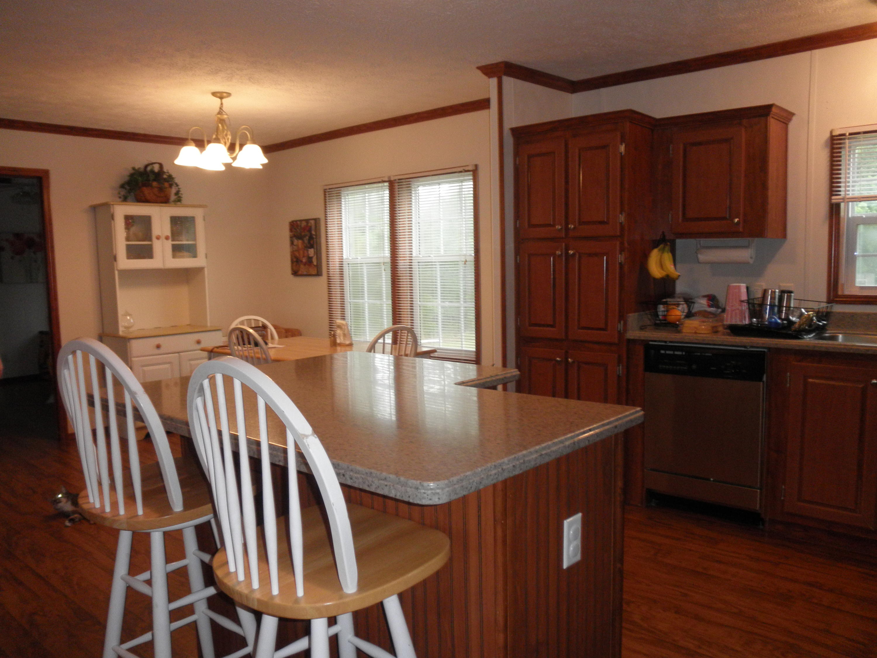 410 Wiregrass Road Hamlet, NC 28345 - Photo 5 of 16 kitchen 2