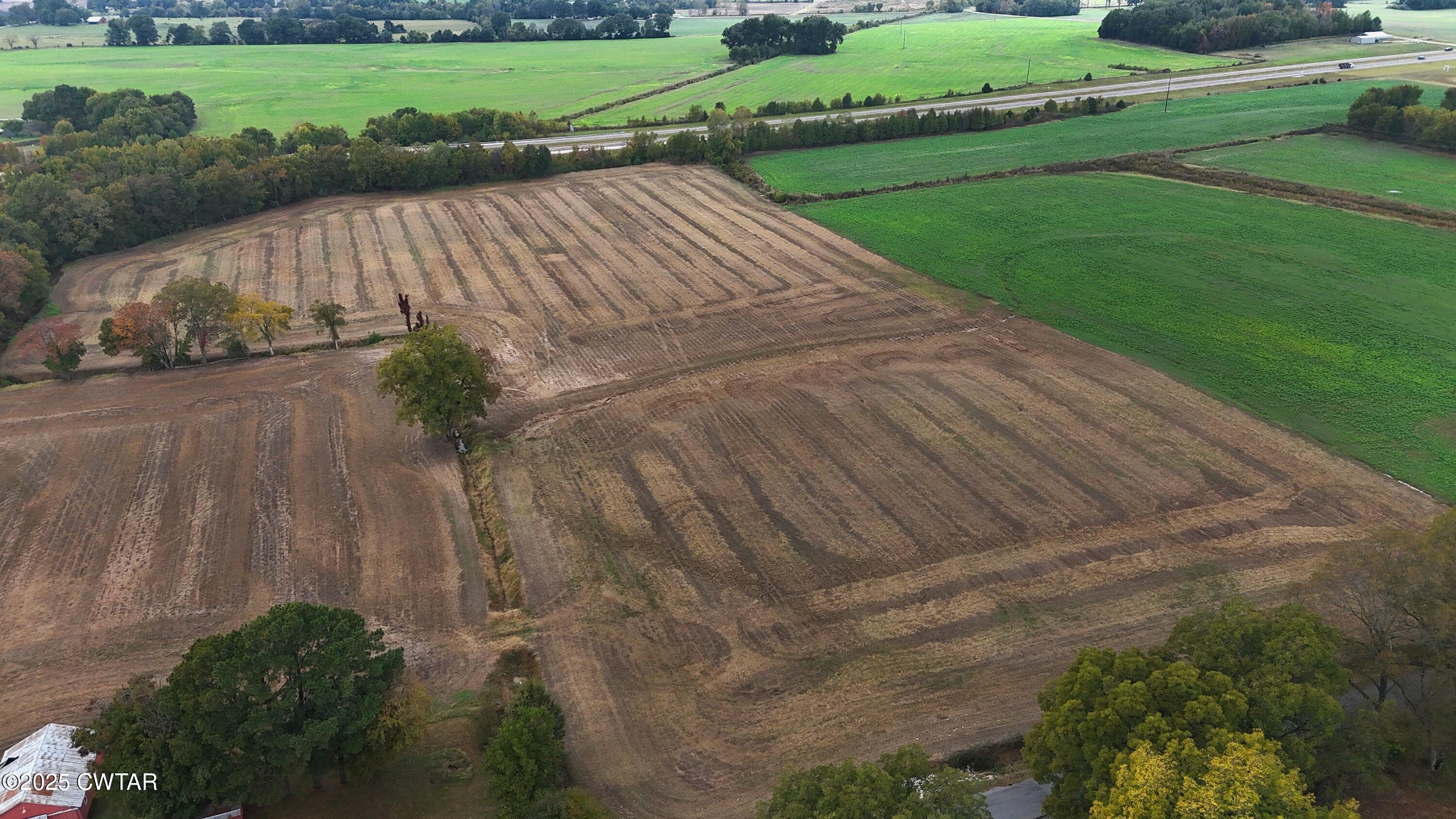 0 Lot Road Alamo, TN 38001 - Photo 2 of 12 a view of outdoor space and yard