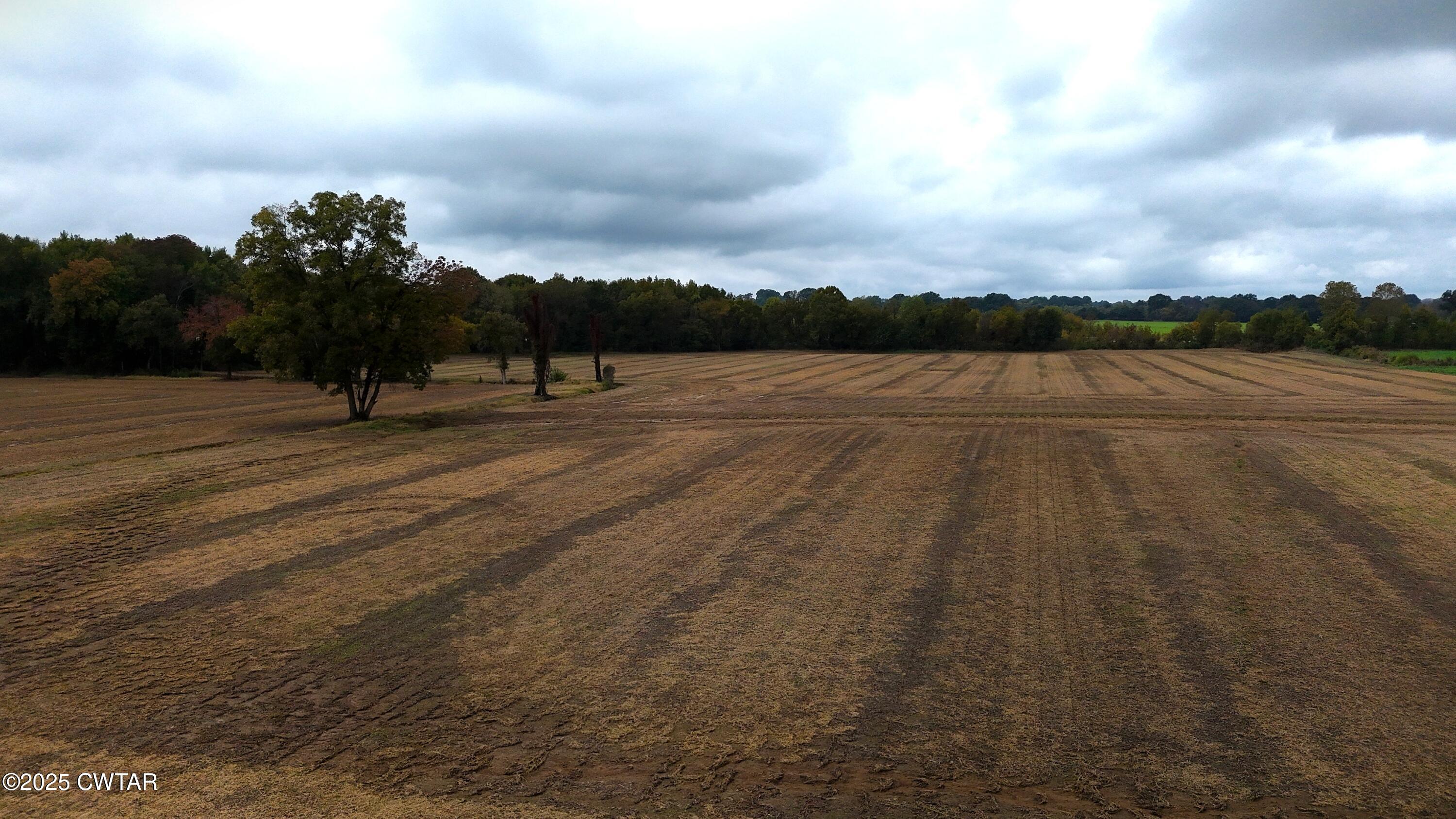 0 Lot Road Alamo, TN 38001 - Photo 3 of 12 a view of outdoor space with city view
