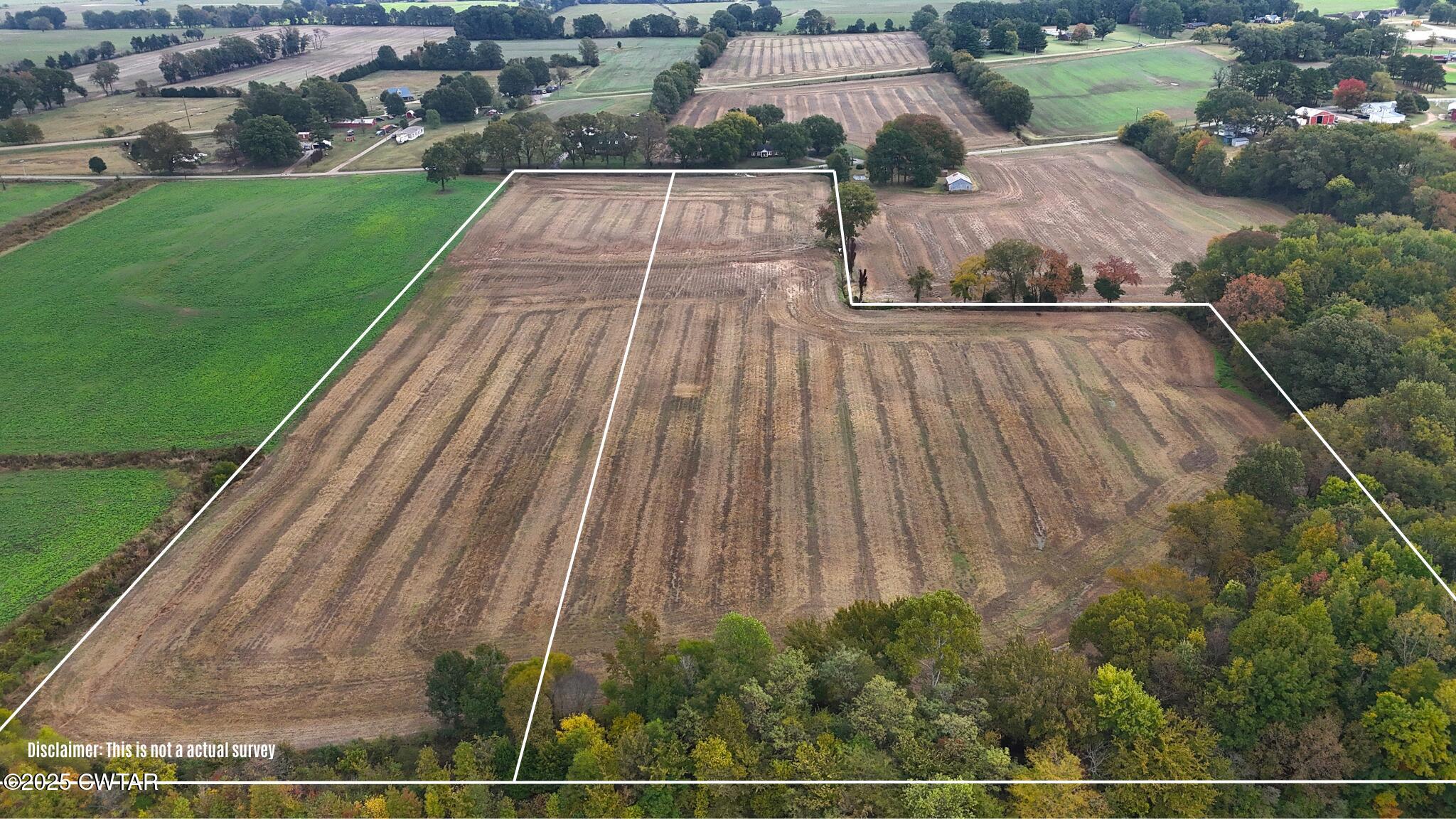 0 Lot Road Alamo, TN 38001 - Photo 6 of 12 a view of a backyard