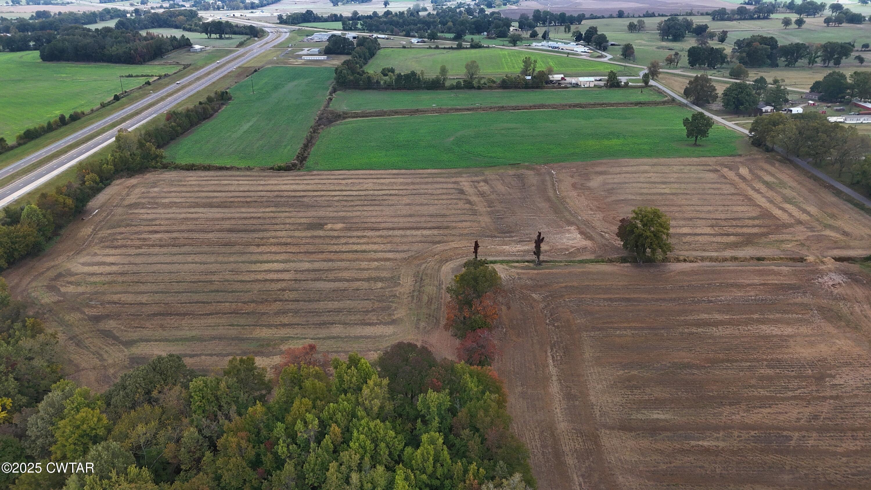 0 Lot Road Alamo, TN 38001 - Photo 10 of 12 a view of a garden