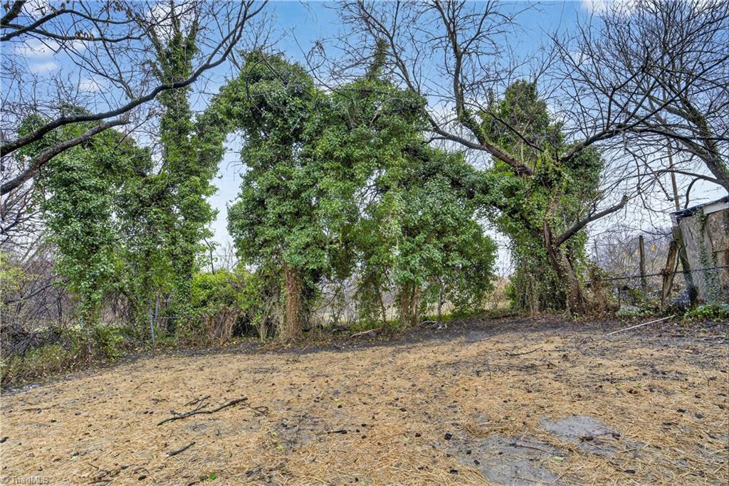 1204 Pearson Place High Point, NC 27260 - Photo 28 of 32