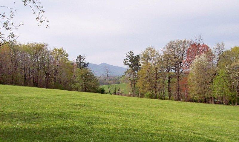 1706 Blue Ridge Springs Road Blue Ridge, VA 24064 - Photo 11 of 14 a backyard of a house with lots of green space
