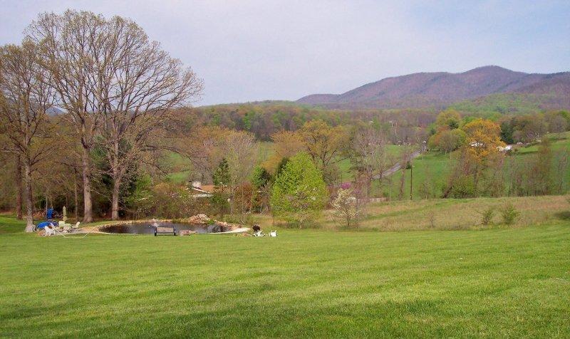 1706 Blue Ridge Springs Road Blue Ridge, VA 24064 - Photo 12 of 14 a view of outdoor space with mountain in background