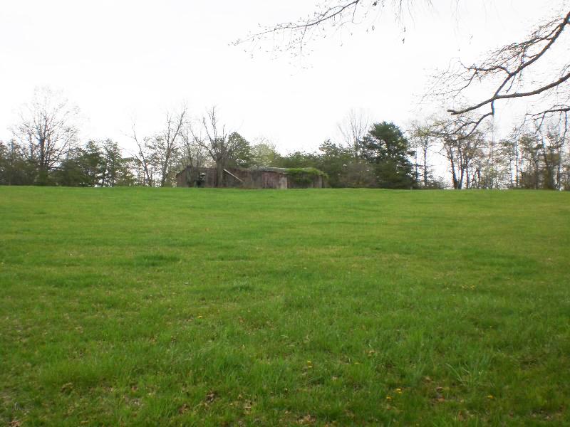1706 Blue Ridge Springs Road Blue Ridge, VA 24064 - Photo 10 of 14 a view of field with trees in the background