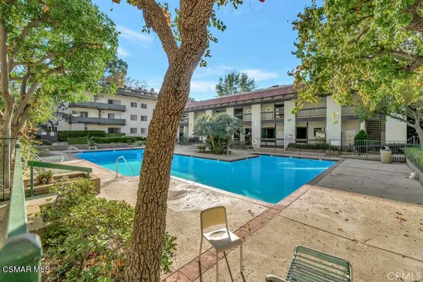 a view of a yard with plants and a large tree
