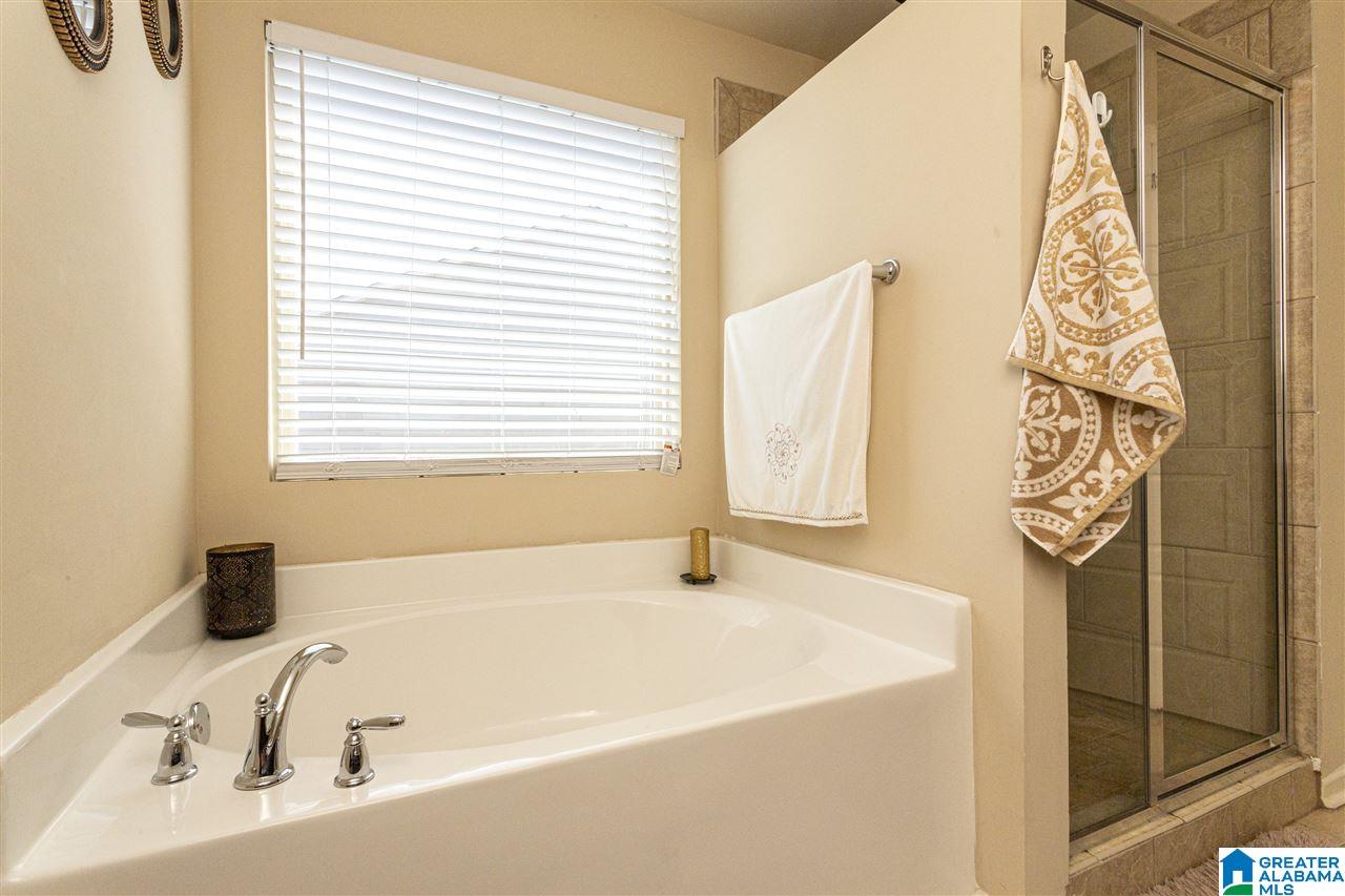 358 Blackberry Boulevard Springville, AL 35146 - Photo 28 of 50