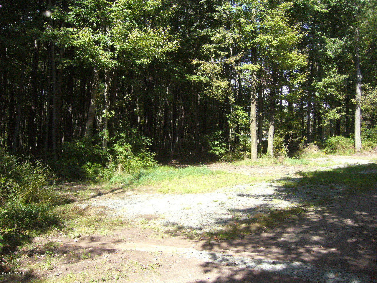 3438 Wrighter Lake Road Starrucca, PA 18462 - Photo 8 of 41