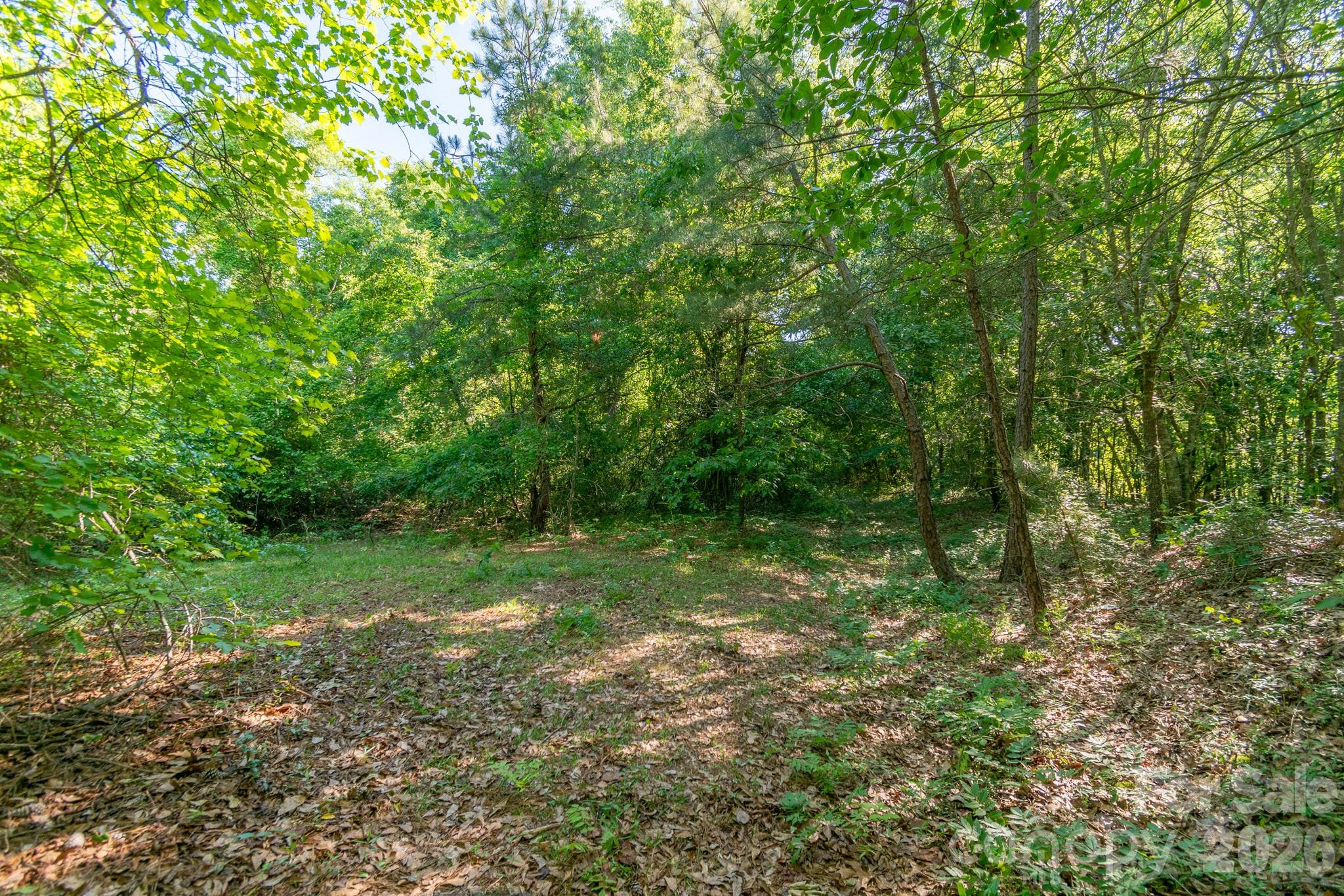 0 Airport Road Pageland, SC 29728 - Photo 18 of 46 Gallery Image 18
