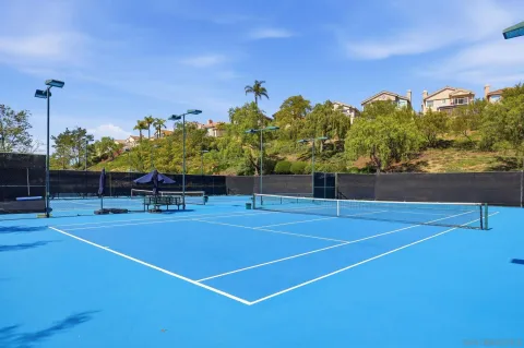 a view of a park with large trees