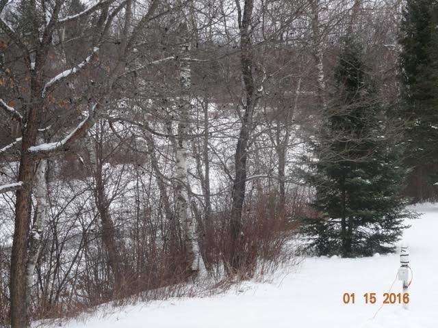 3134 Hancock Lake Road Harshaw, WI 54529 - Photo 16 of 20 Gallery Image 16