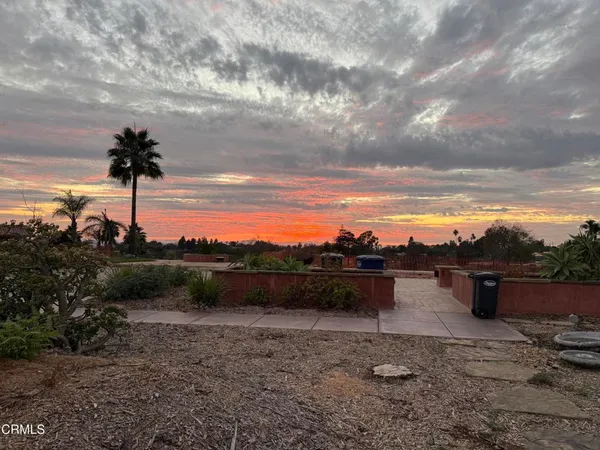 a view of a city with lush green forest