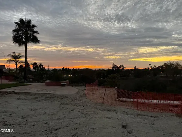 a view of a bunch of trees in a field