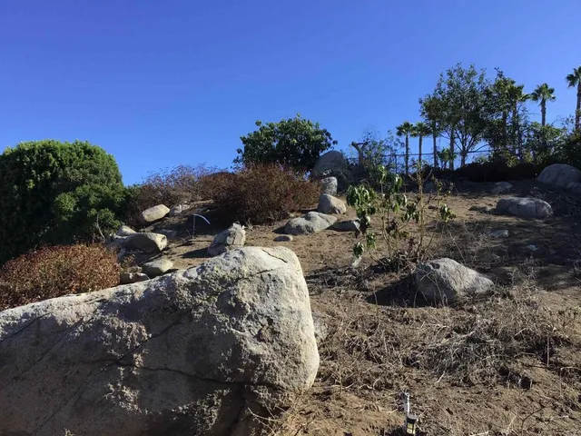 a view of a dry yard with wooden fence