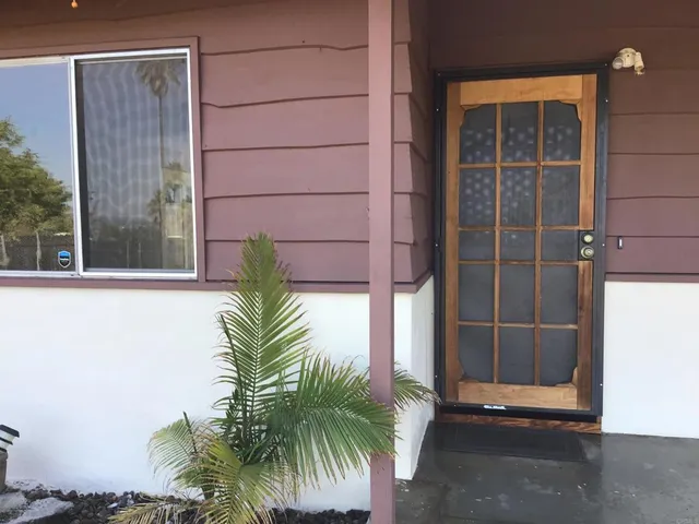a view of potted plant in front of a door