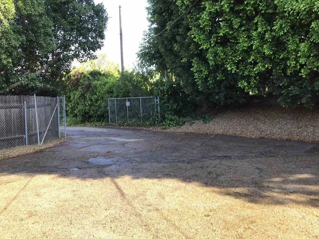 a view of a yard with plants and trees