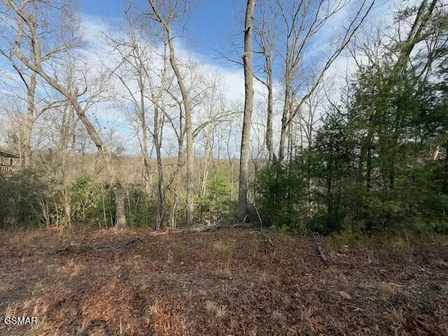 974 Ridgefield Drive Sevierville, TN 37876 - Photo 1 of 10 Gallery Image 1