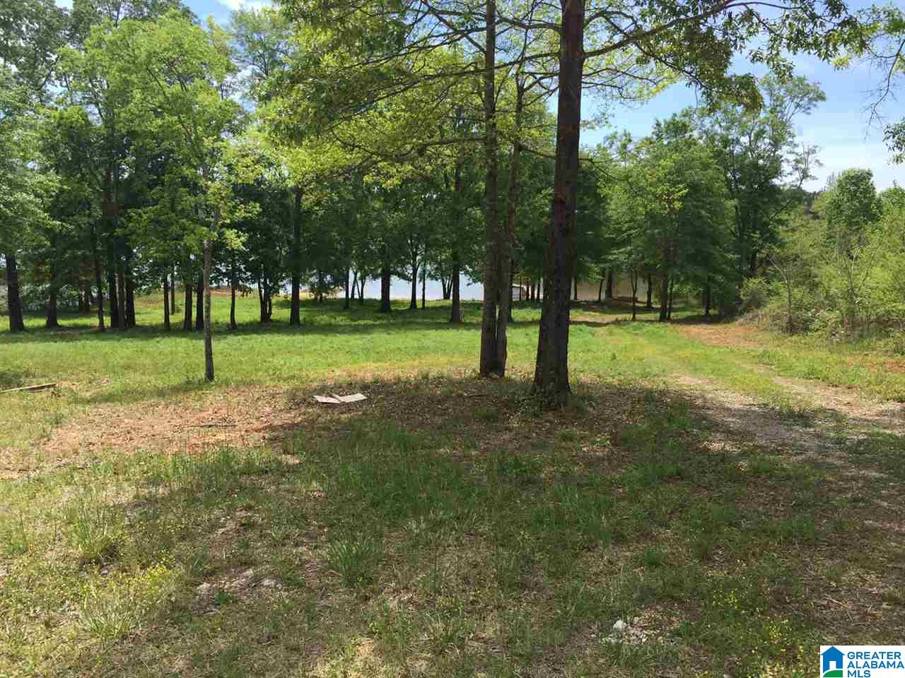 Ranch Marina Road Pell City, AL 35128 - Photo 1 of 8