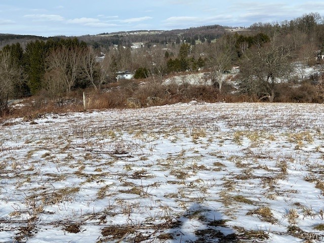 Lakeview Drive Hamilton, NY 13346 - Photo 4 of 5