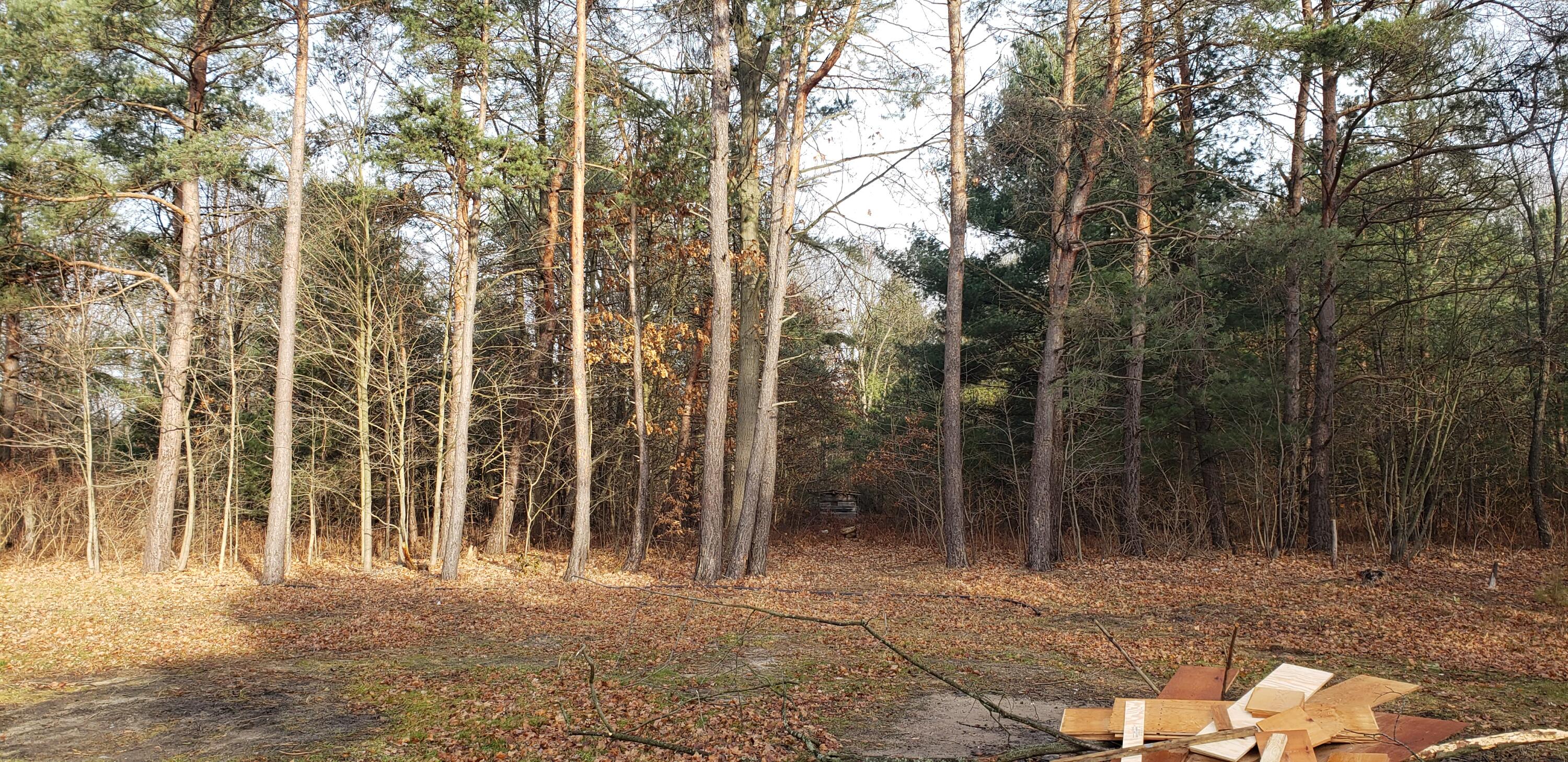 4444 East Sternberg Road Fruitport, MI 49415 - Photo 4 of 18 20211214_102147