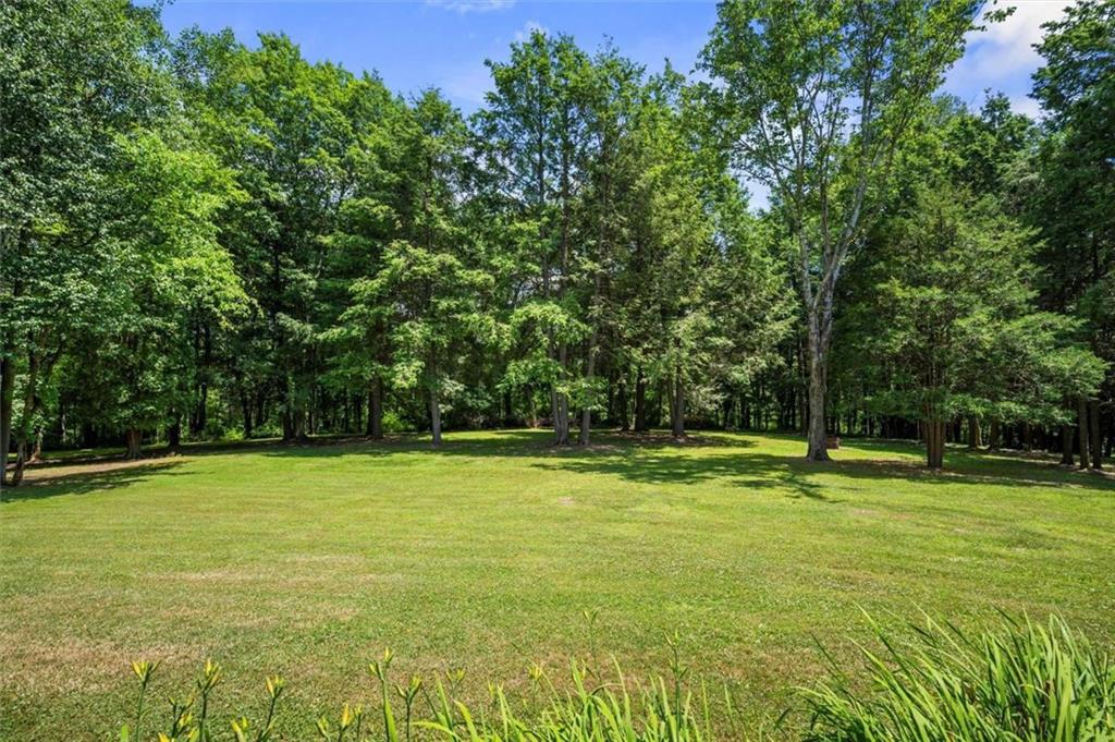 1702 Coulter Road Apollo, PA 15613 - Photo 31 of 50 a view of a large trees with lots of trees