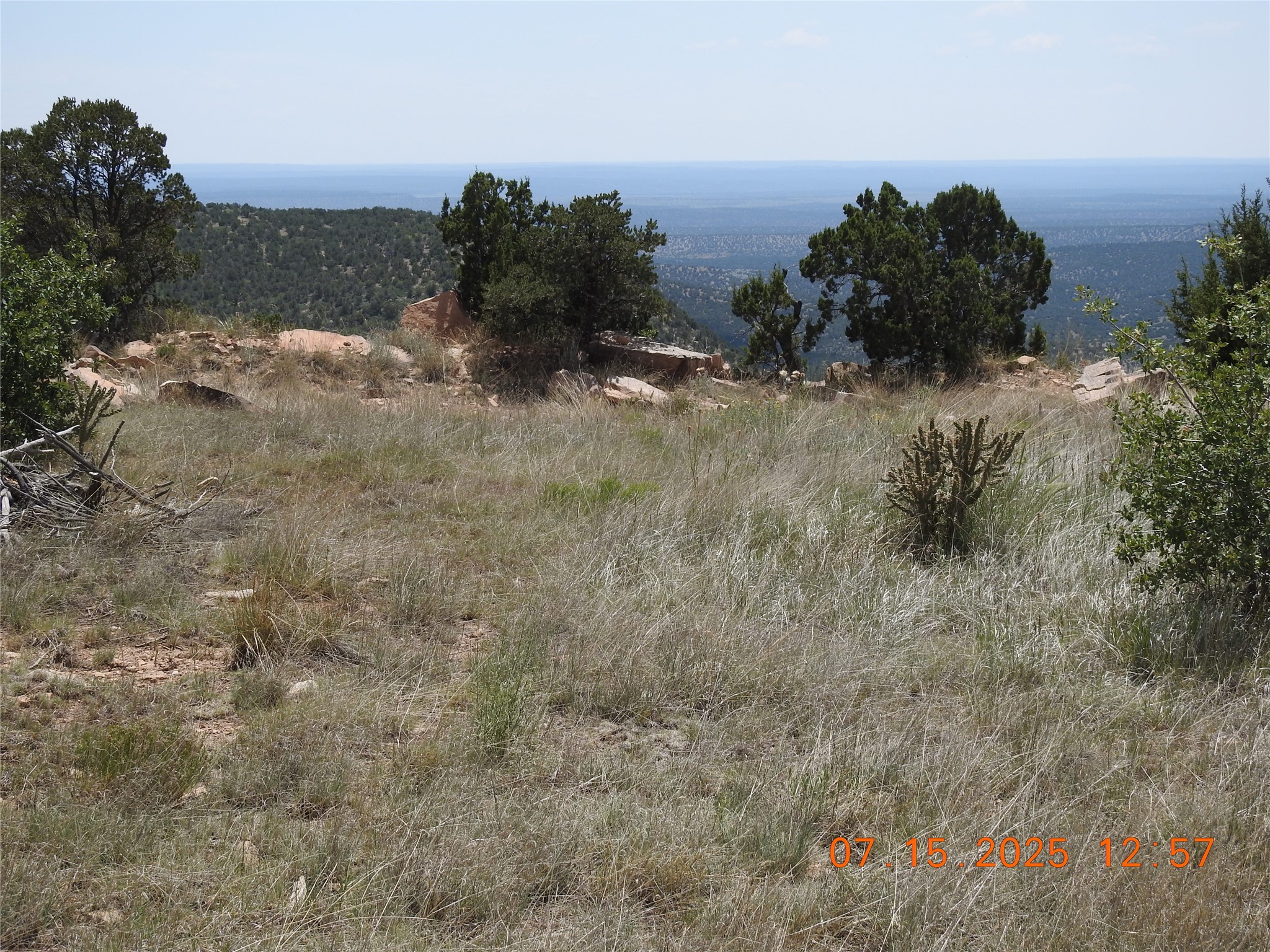 139 Apache Mesa Road Las Vegas, NM 87701 - Photo 15 of 23